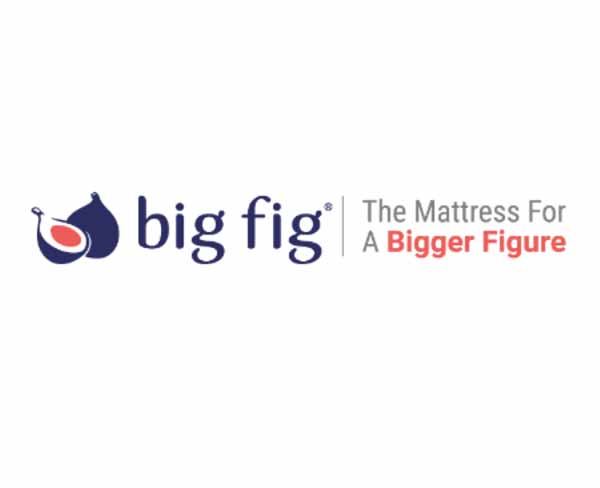 Big Fig logo