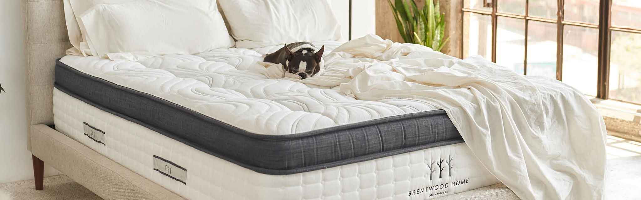 Brentwood Home Mattress Reviews