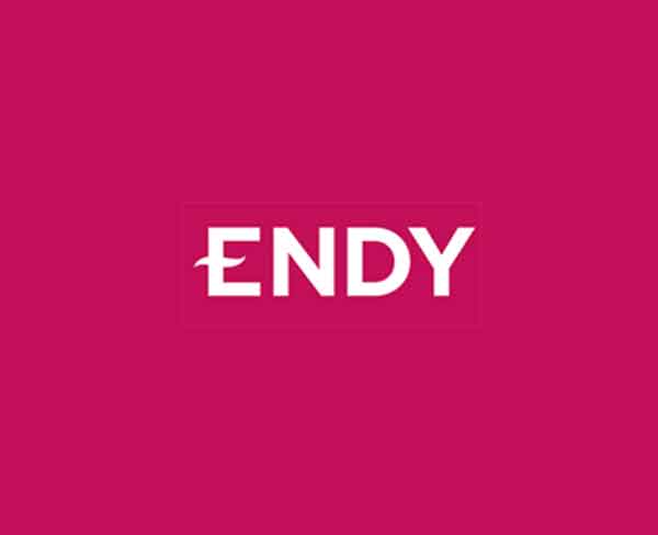 Endy logo