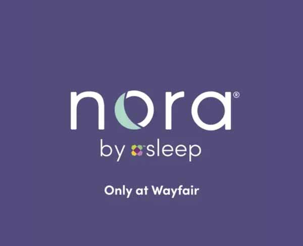 Nora logo